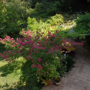 D'hotes Il Monticello Bed & Breakfast Grasse
